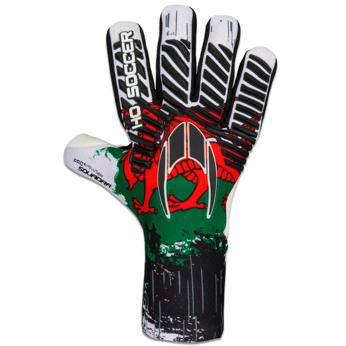 HO Soccer Pro Evolution SQUADRA WALES Junior Goalkeeper Gloves