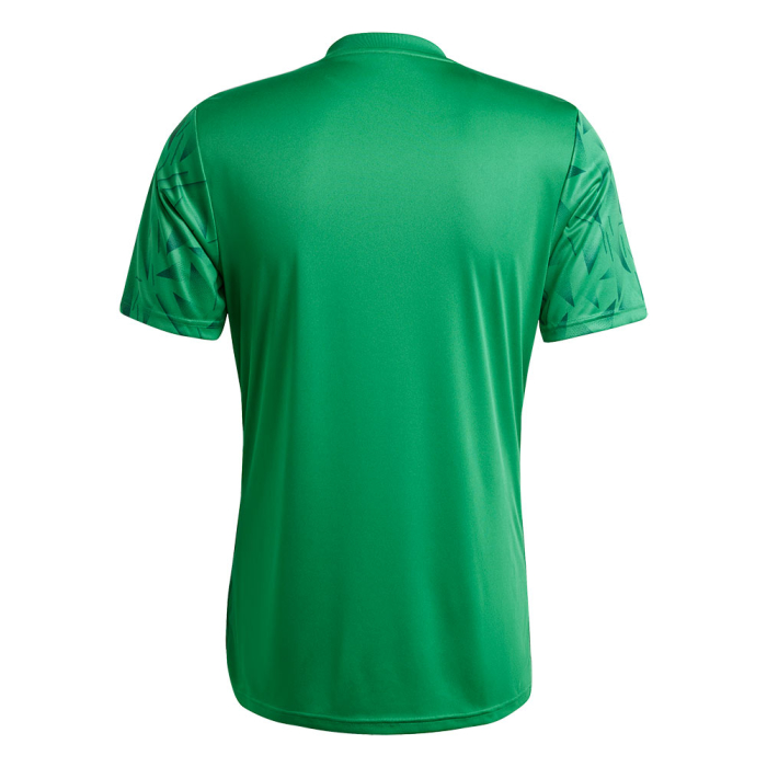 JG3552 adidas ICON 25 SS GK Jersey Team Green