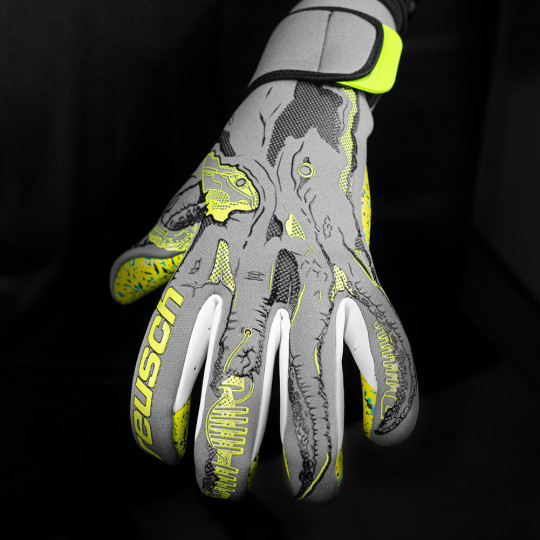 reusch xray