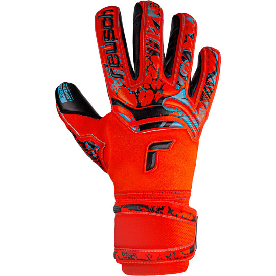 Reusch fit control pro ax2 store evolution nc