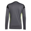 JN2017 adidas Tiro 25 Competition LS Goalkeeper Jersey grey five