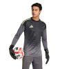 JN2017 adidas Tiro 25 Competition LS Goalkeeper Jersey grey five