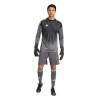 JN2017 adidas Tiro 25 Competition LS Goalkeeper Jersey grey five