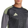 JN2017 adidas Tiro 25 Competition LS Goalkeeper Jersey grey five