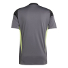 JN2015 adidas Tiro 25 Competition SS Goalkeeper Jersey grey five