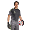 JN2015 adidas Tiro 25 Competition SS Goalkeeper Jersey grey five