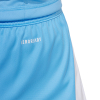 JI6093 adidas Tiro 24 Goalkeeper Shorts blue burst