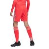 JC6205 adidas Tiro 24 Goalkeeper Shorts Junior shock red