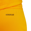 JN4496 adidas Tiro 24 Goalkeeper Shorts Junior crew orange