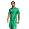 JG3552 adidas ICON 25 SS GK Jersey Team Green