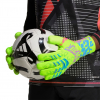 JN0242 adidas Predator Pro MYSTIC VICTORY Goalkeeper Gloves Lucid Lemo