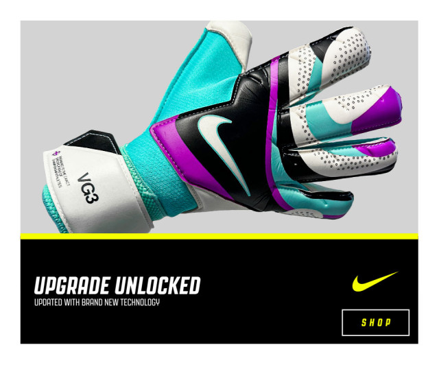 Goalie 2024 glove brands