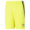 Puma Team Liga GK Shorts