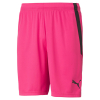 Puma Team Liga GK Shorts